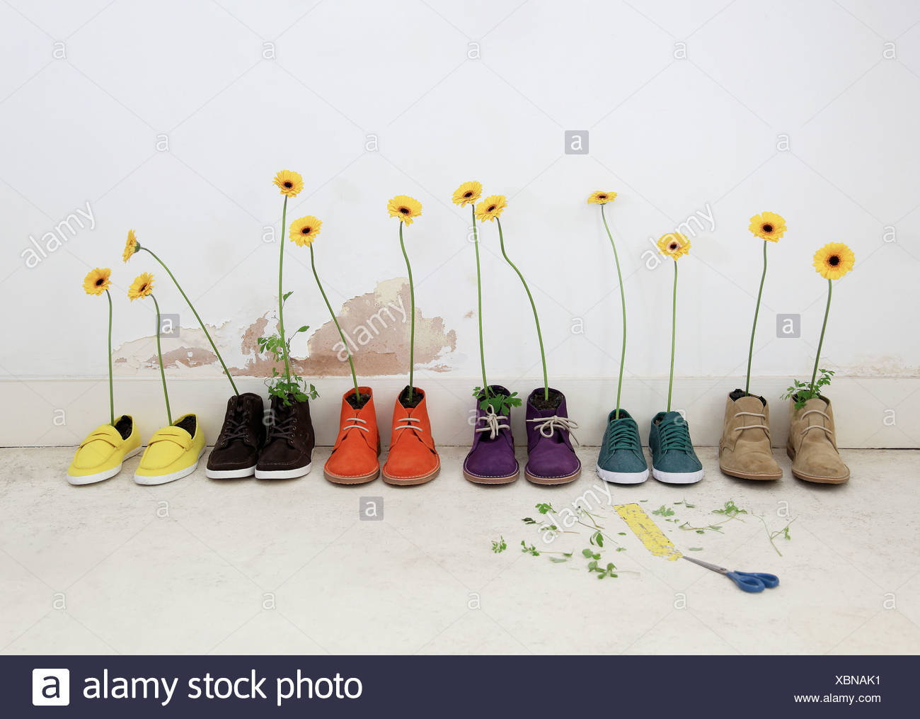 shoes with flowers on them