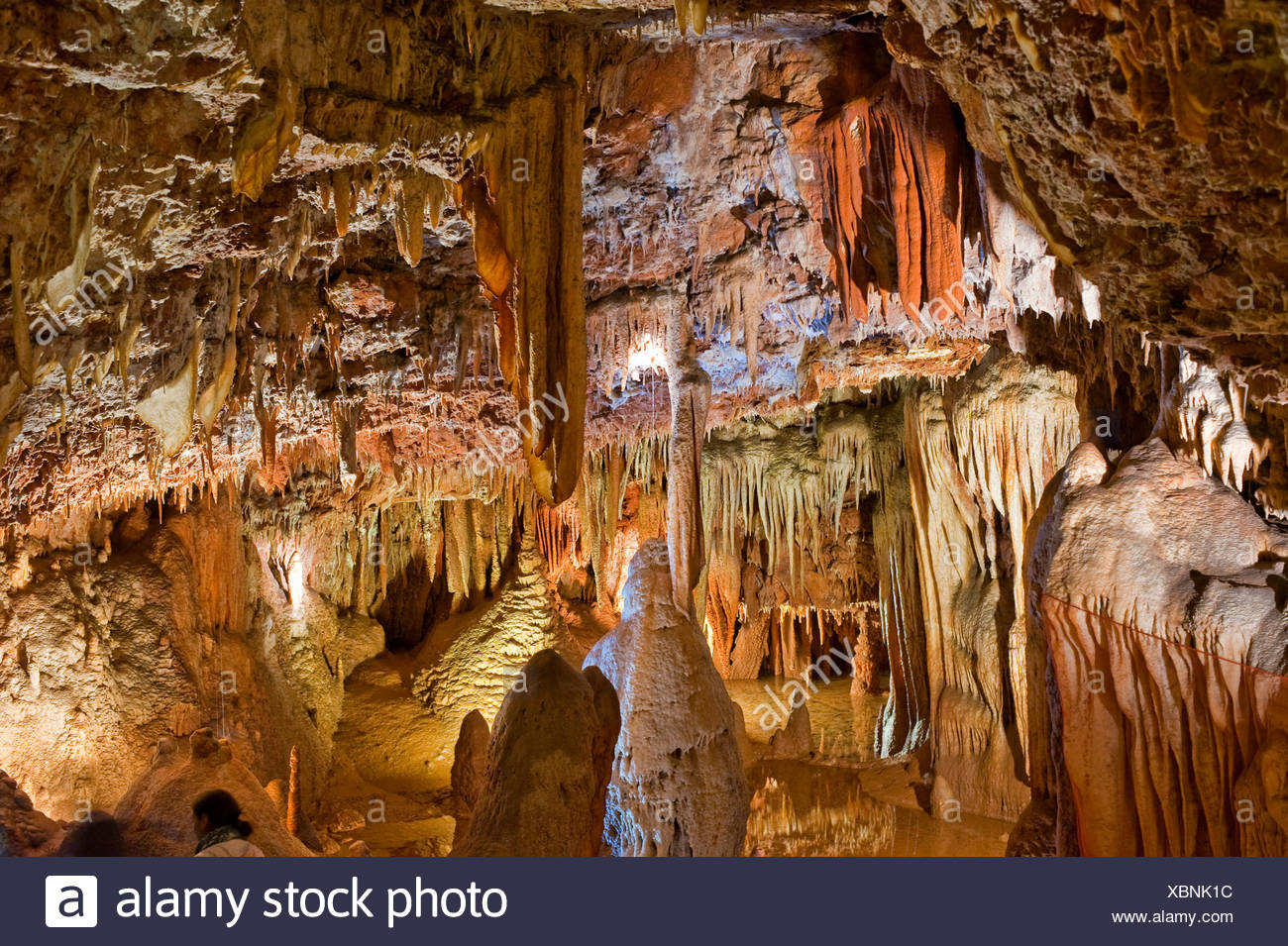 Jama Baredine, stalactite cave, Nova Vas, Porec, Istria, Croatia
