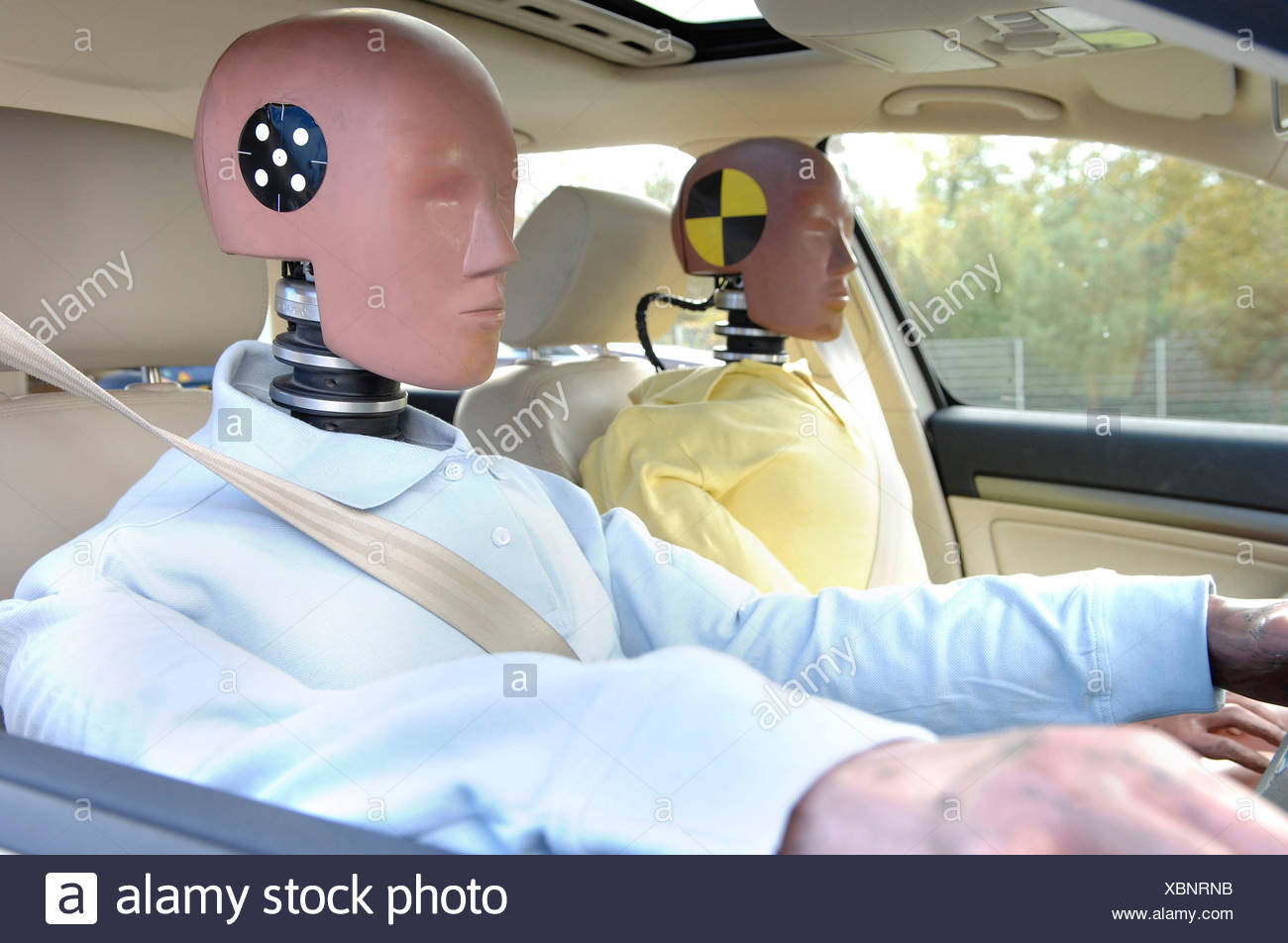 Crashtest Dummy Stock Photos & Crashtest Dummy Stock Images Alamy