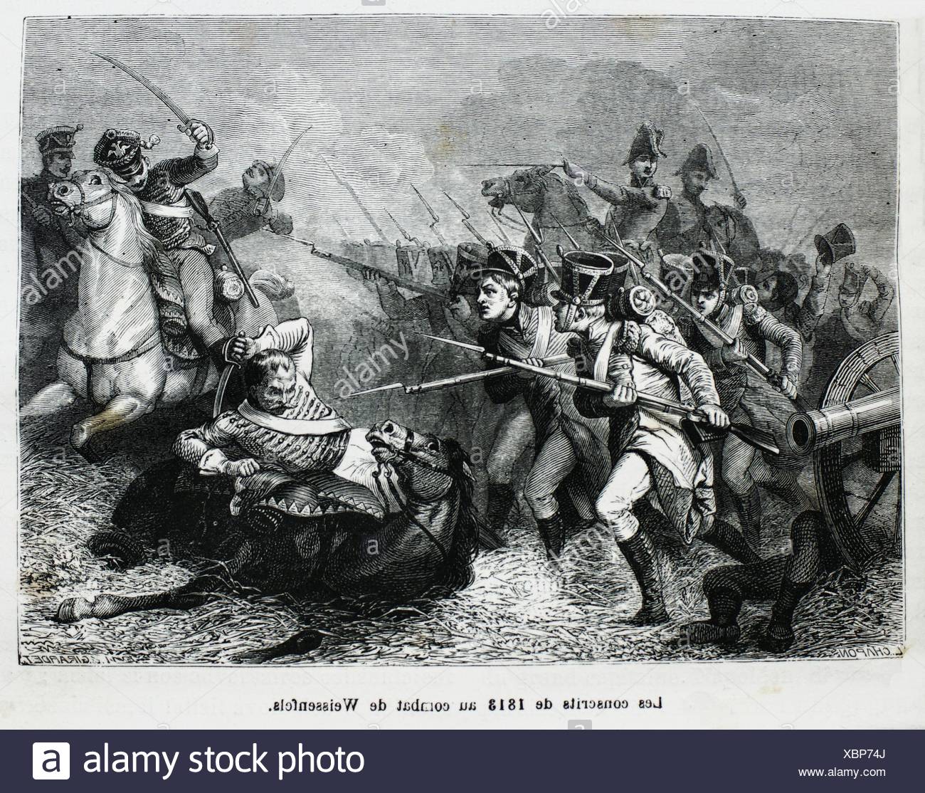 French Army 1800s Stock Photos & French Army 1800s Stock Images - Alamy