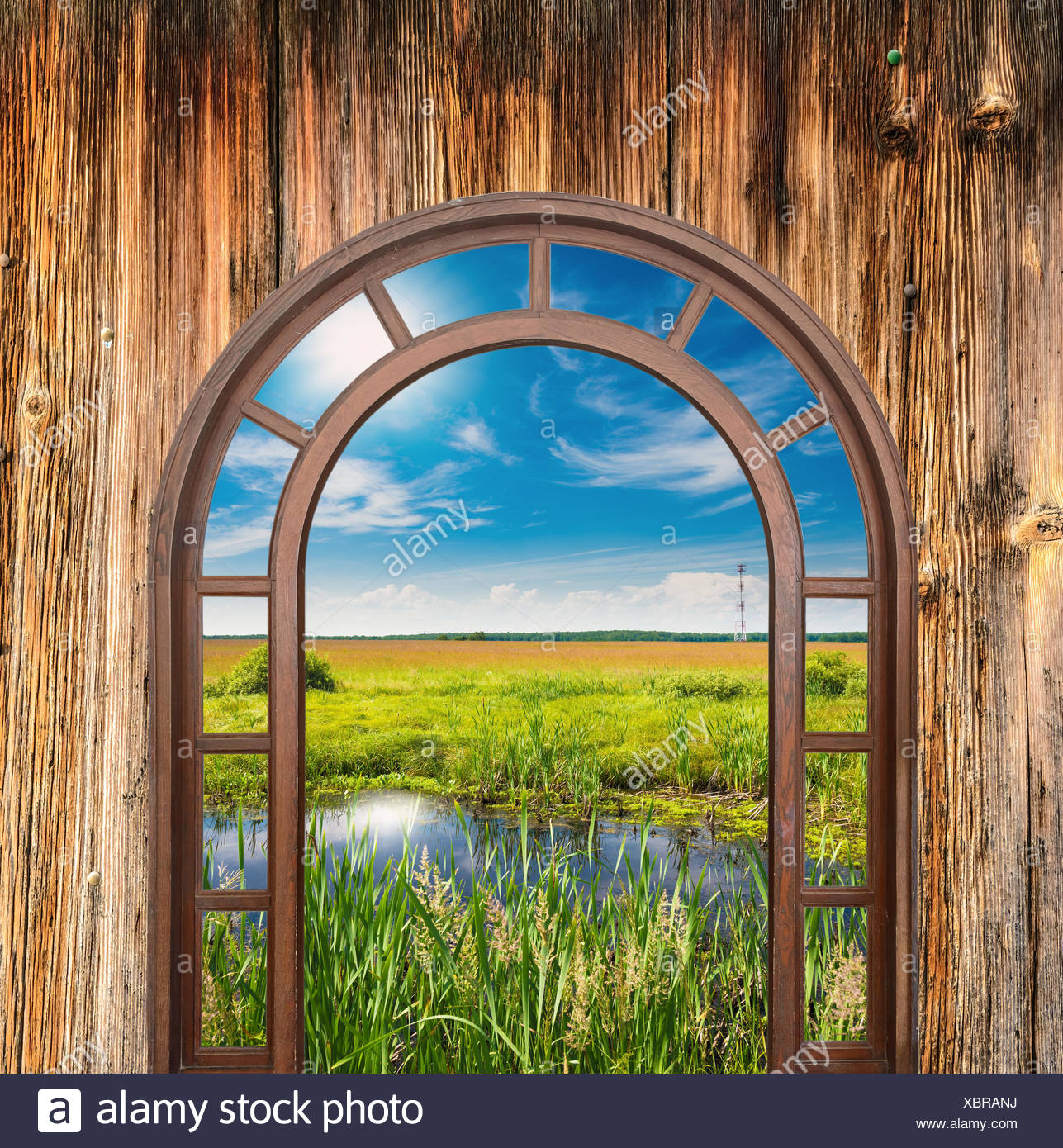 Open Door With A View Of Green Meadow Illuminated By Bright