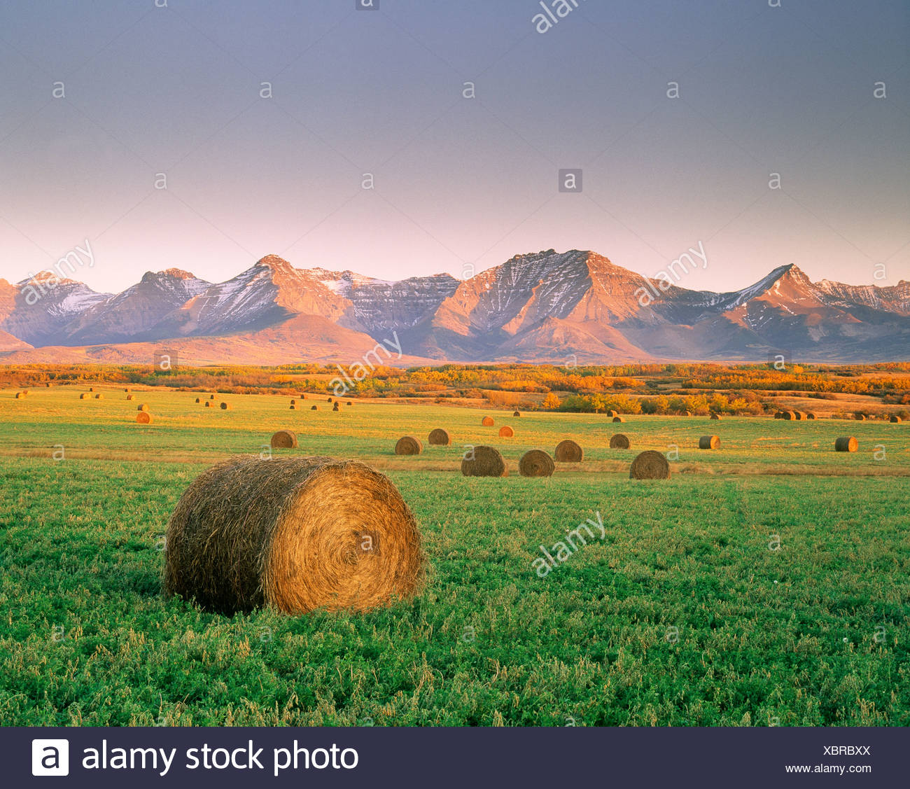 Canada Rockies Farming Stock Photos & Canada Rockies Farming Stock