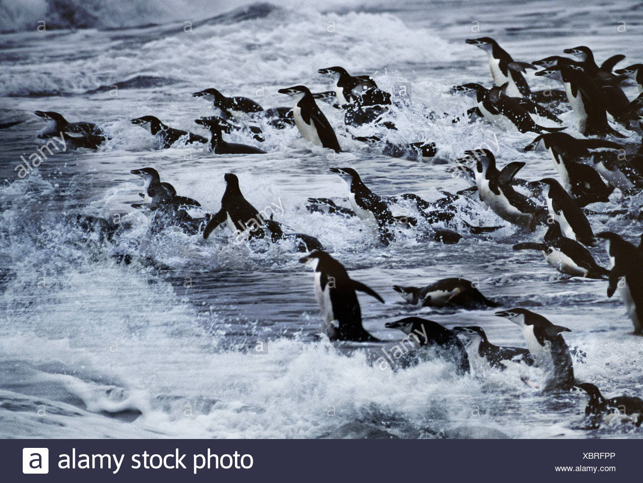 Dangerous Seas High Resolution Stock Photography and Images - Alamy