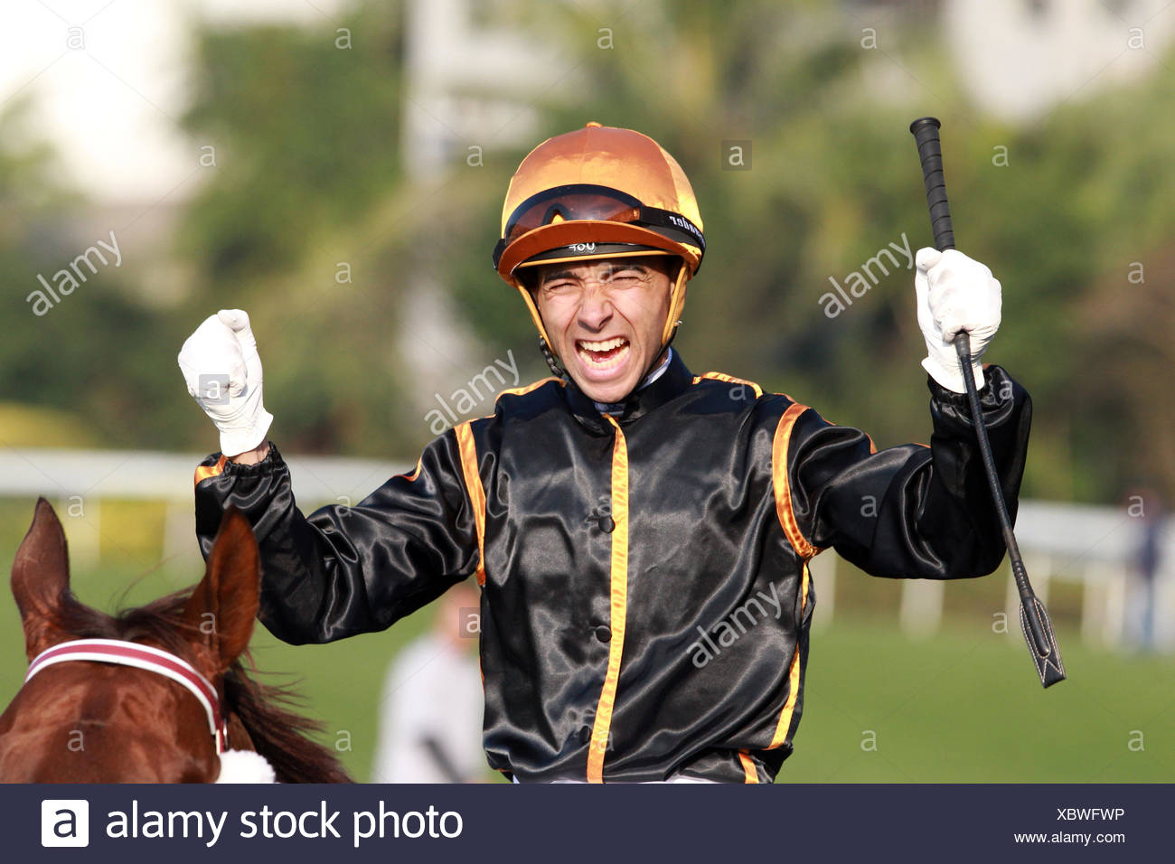 Joao Moreira High Resolution Stock Photography And Images Alamy Joao Moreira High Resolution Stock Photography And Images Alamy
