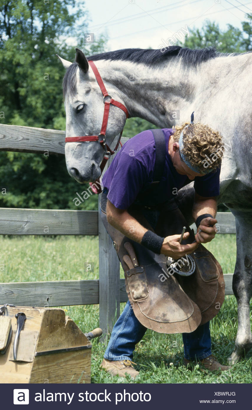 Male Farrier Stock Photos & Male Farrier Stock Images Alamy