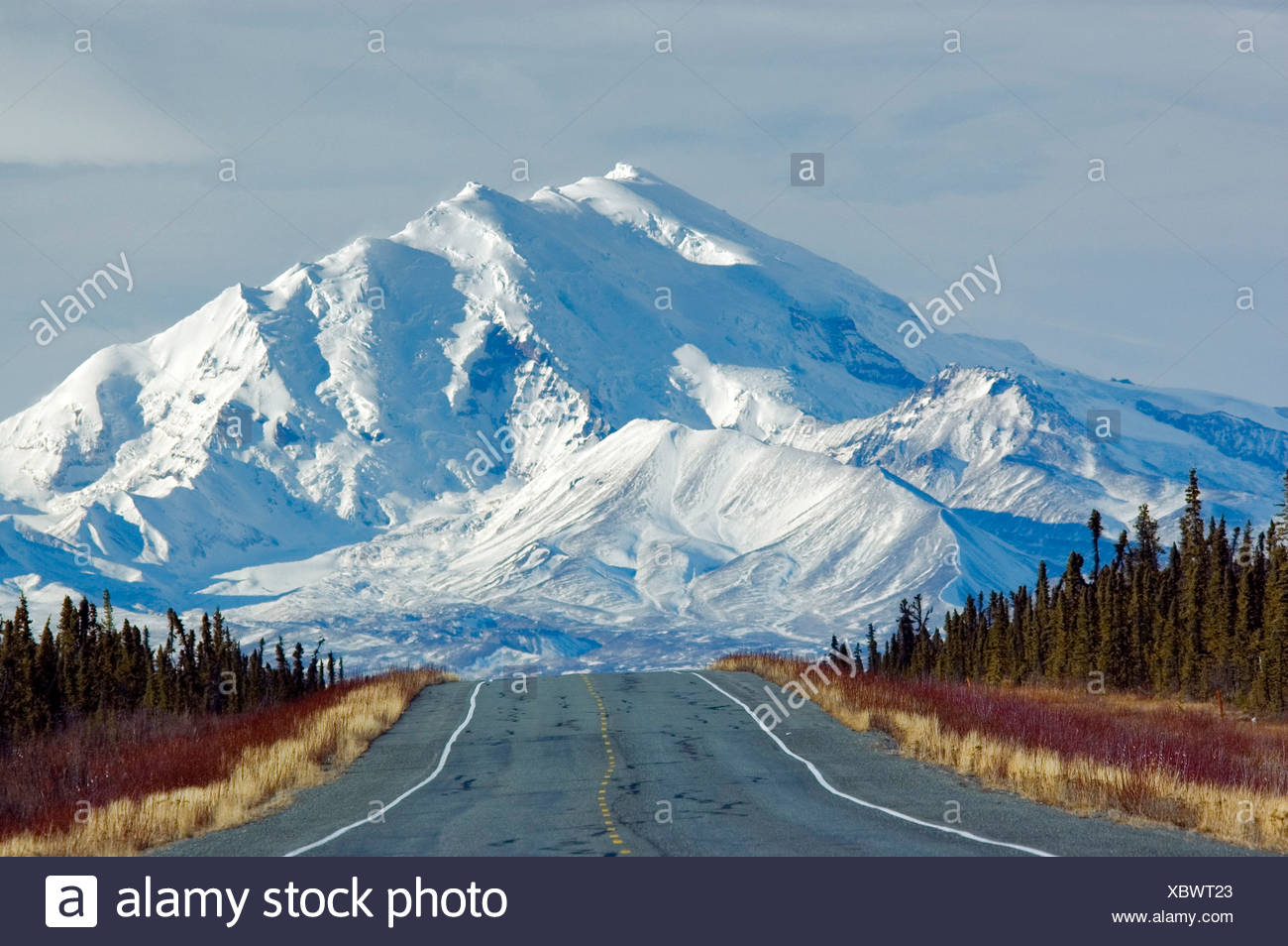 Mount Drum Wrangell St. Elias national park USA America United ...