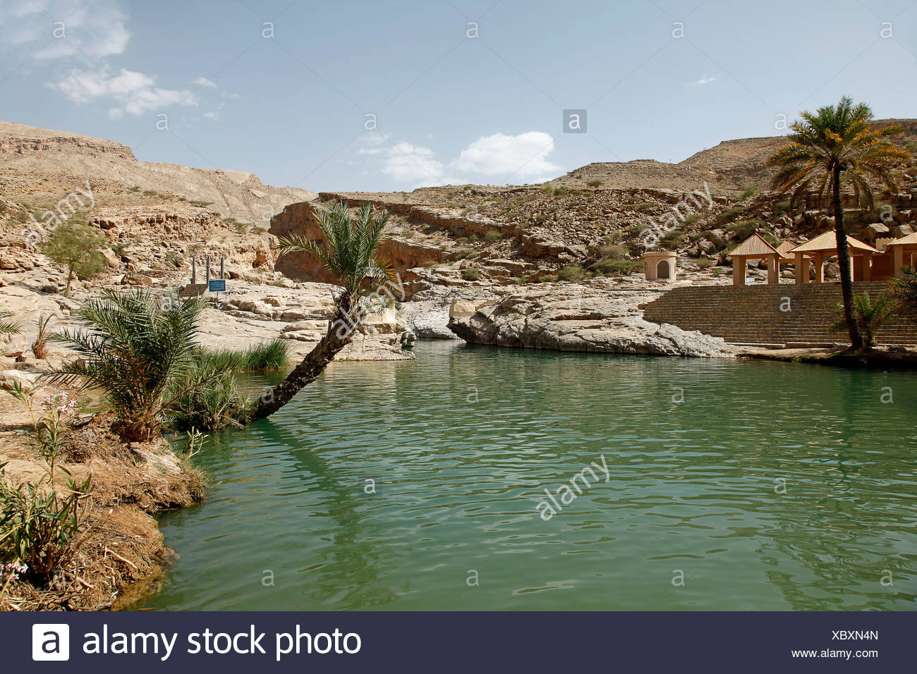 Oasis Oman Water Heaven Paradise Rock Palms Refresh Idyll - 