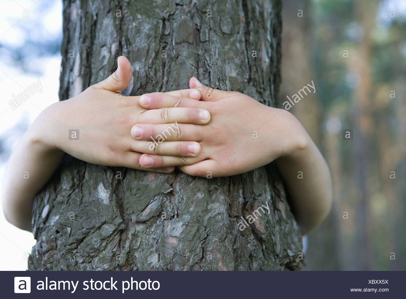 Child Arms Around Tree Trunk High Resolution Stock Photography and