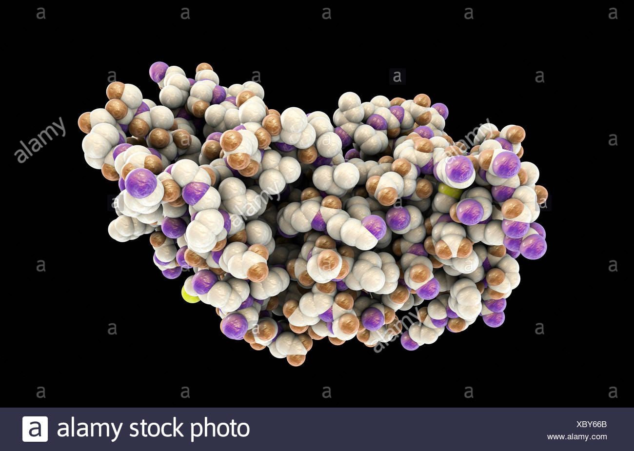 Molecular Model Interferon Gamma High Resolution Stock Photography and