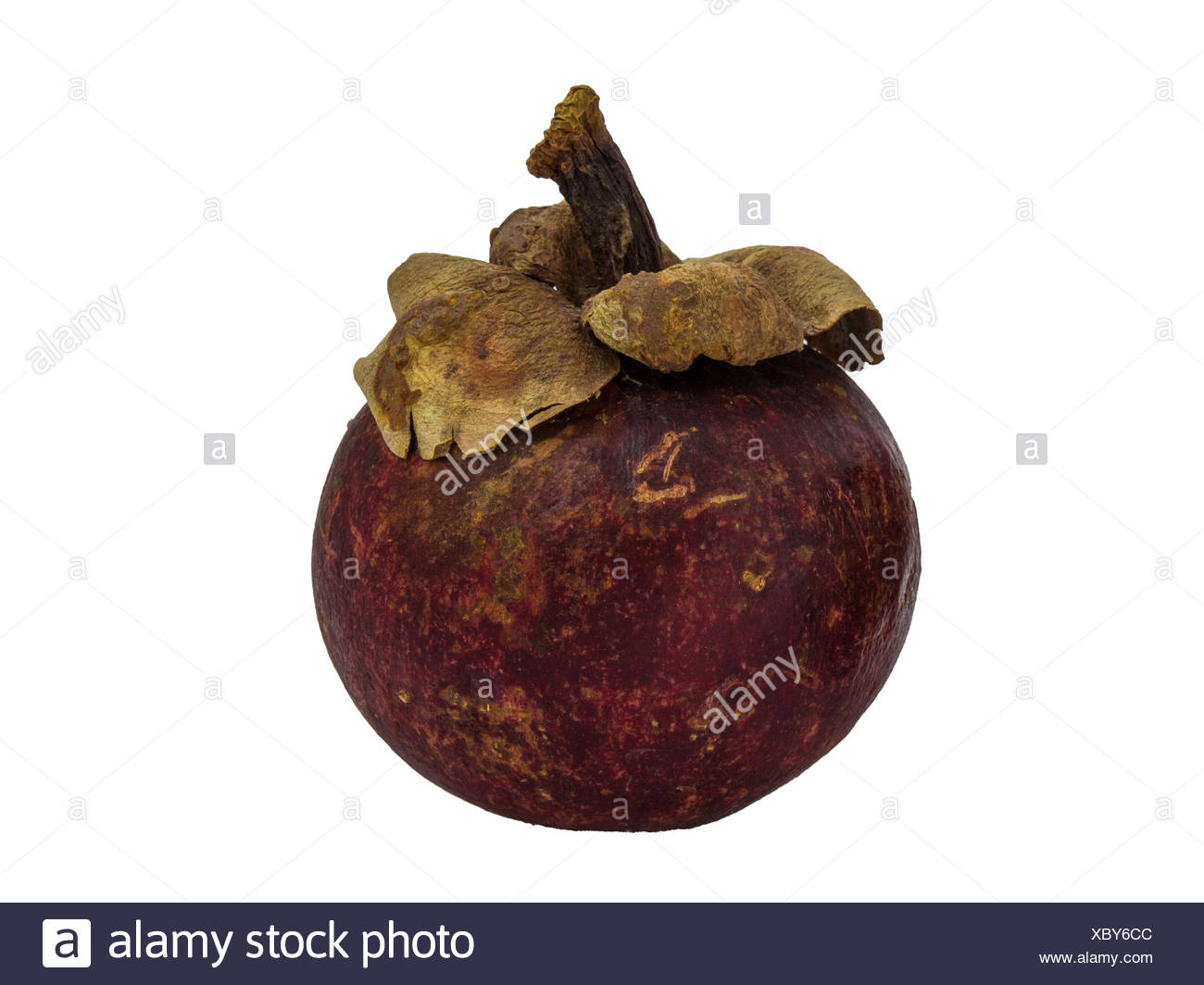 Mangostane High Resolution Stock Photography And Images Alamy