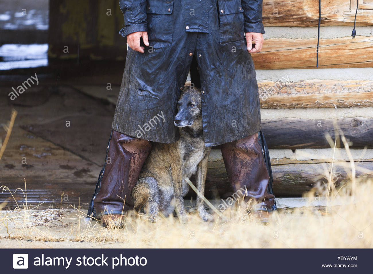Cowboy With His Dog Stands In The Rain In Front Of Log Cabin Usa