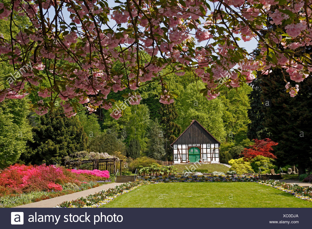 Bielefeld Botanical Garden Stock Photo 282752466 Alamy