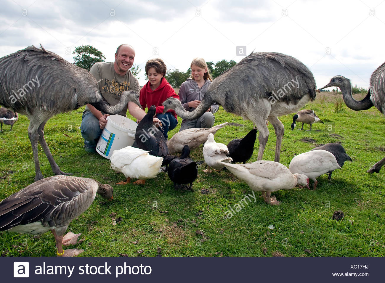 Human Feeding Birds High Resolution Stock Photography and Images Alamy