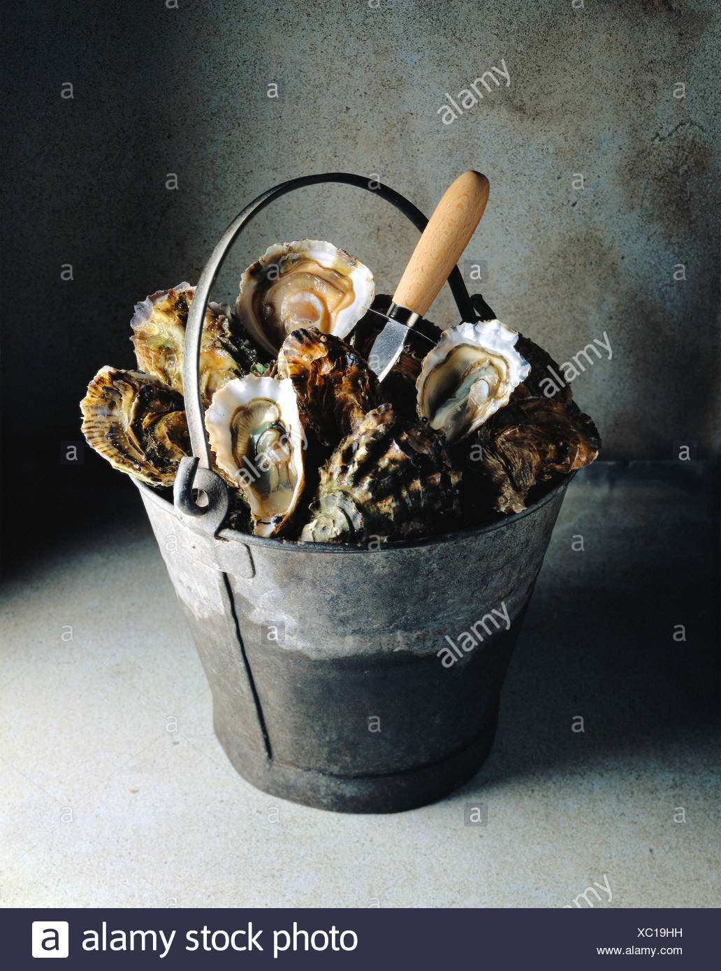 Shell Bucket Stock Photos & Shell Bucket Stock Images Alamy