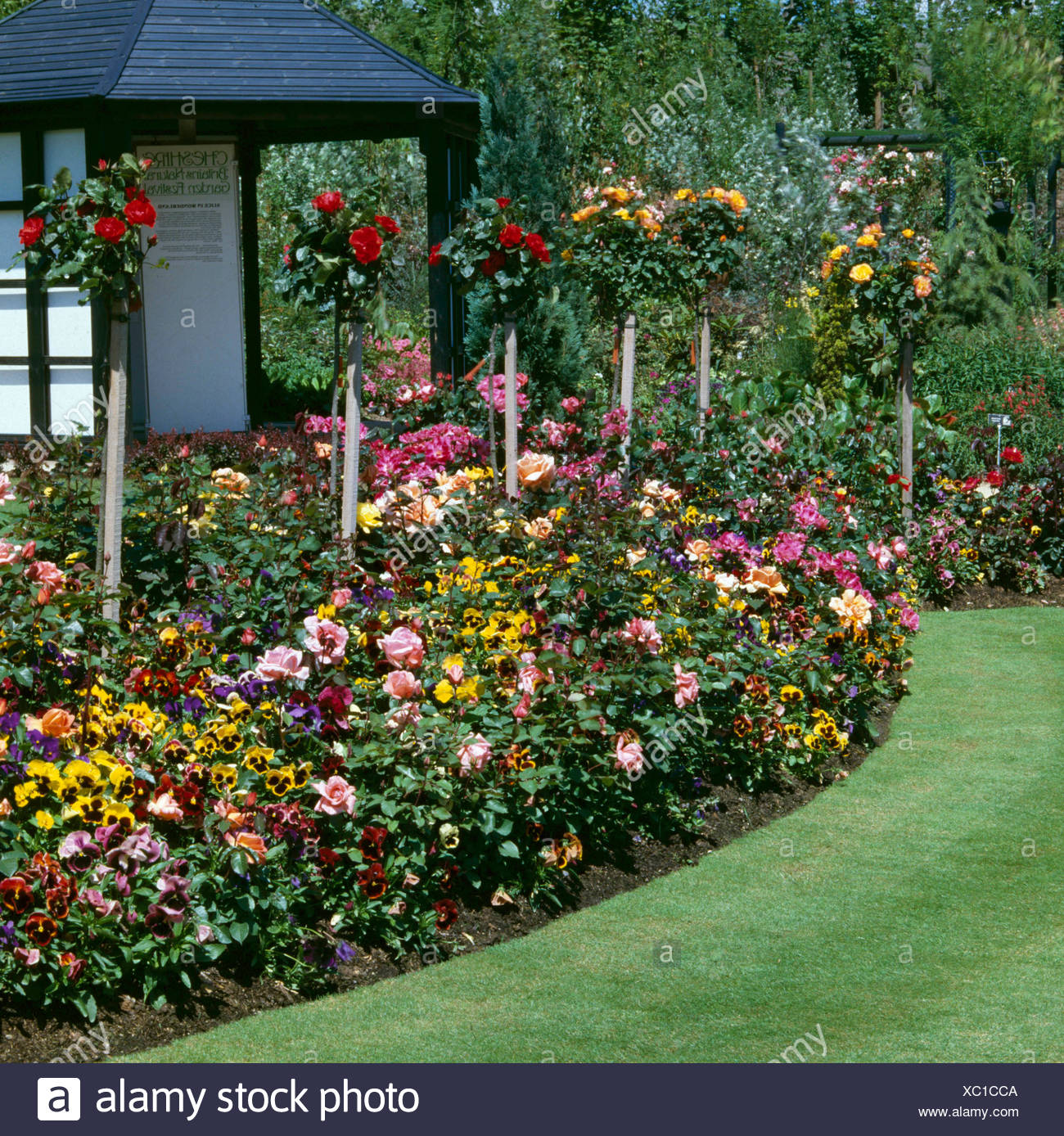 Underplanting Stock Photos & Underplanting Stock Images - Alamy