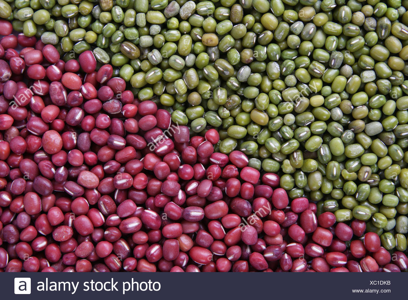 Red Mung Beans High Resolution Stock Photography and Images Alamy