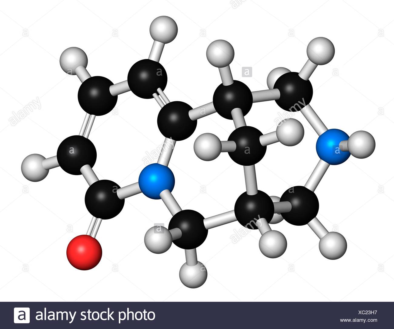 Cytisine - Molecule of the Month - March 2019 (HTML version)