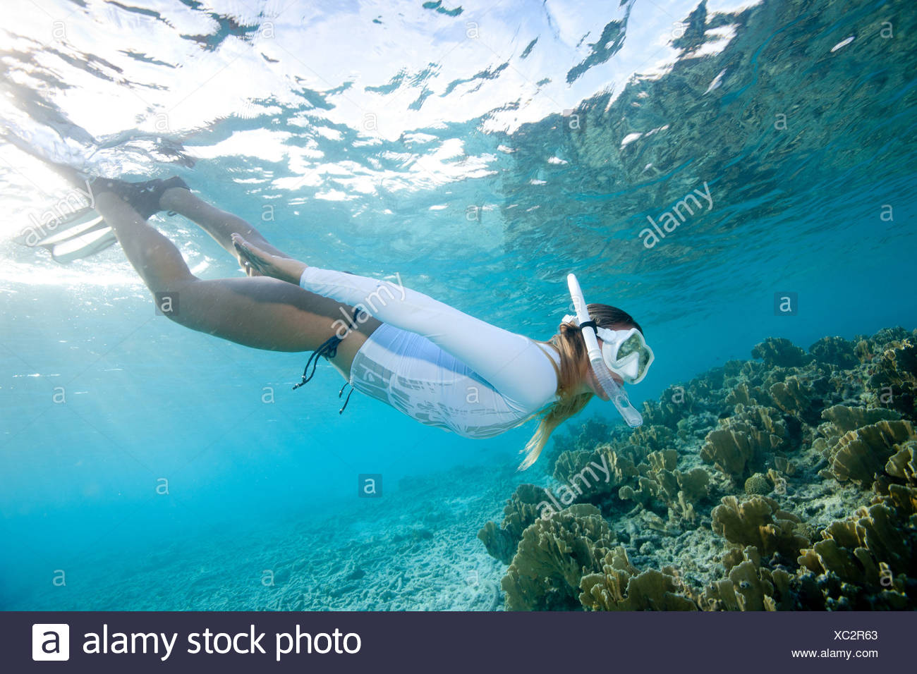 Female Snorkeler High Resolution Stock Photography and Images - Alamy