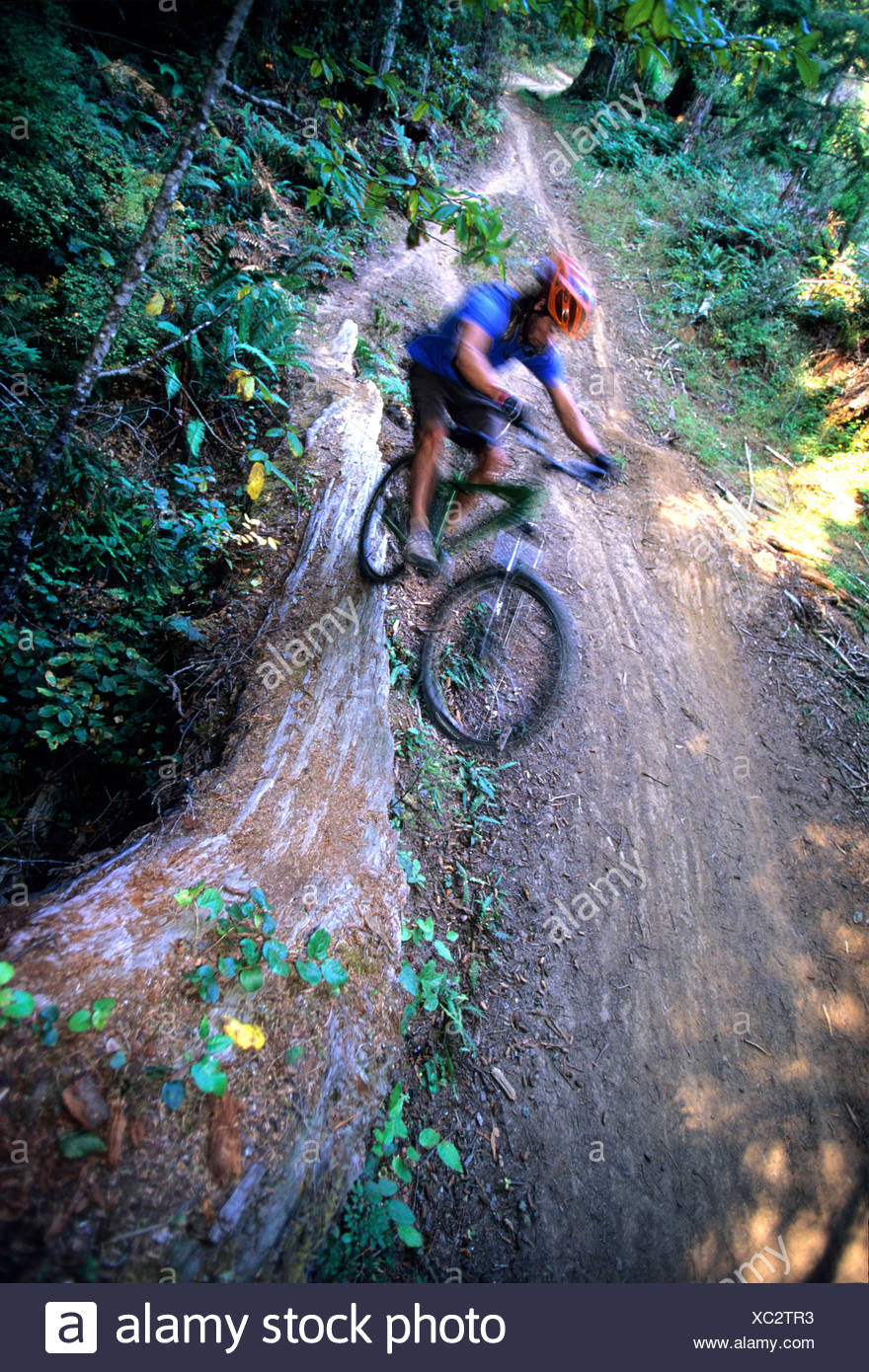 mountain biking in northern california