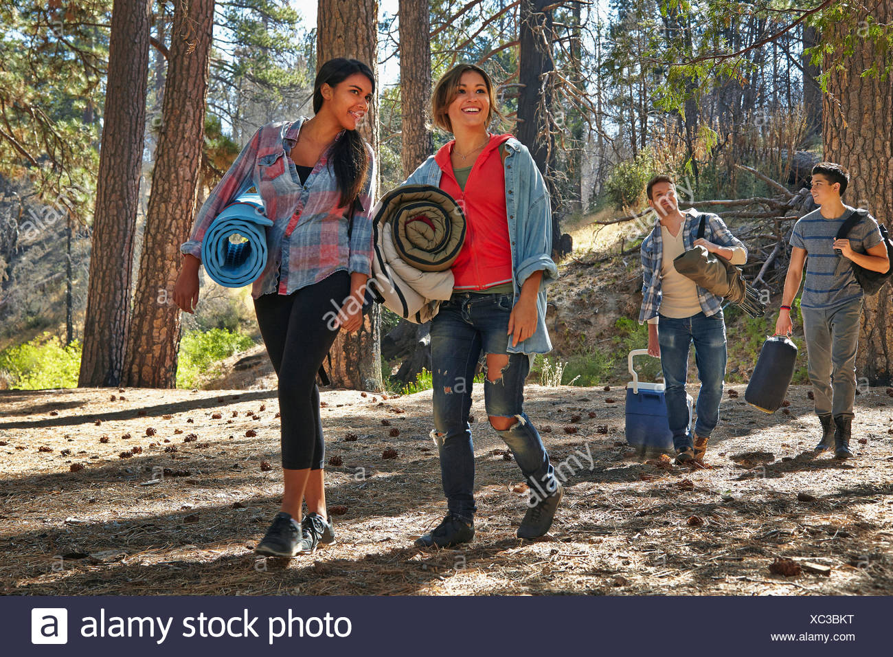 Four young adult friends walking in forest with camping equipment ...