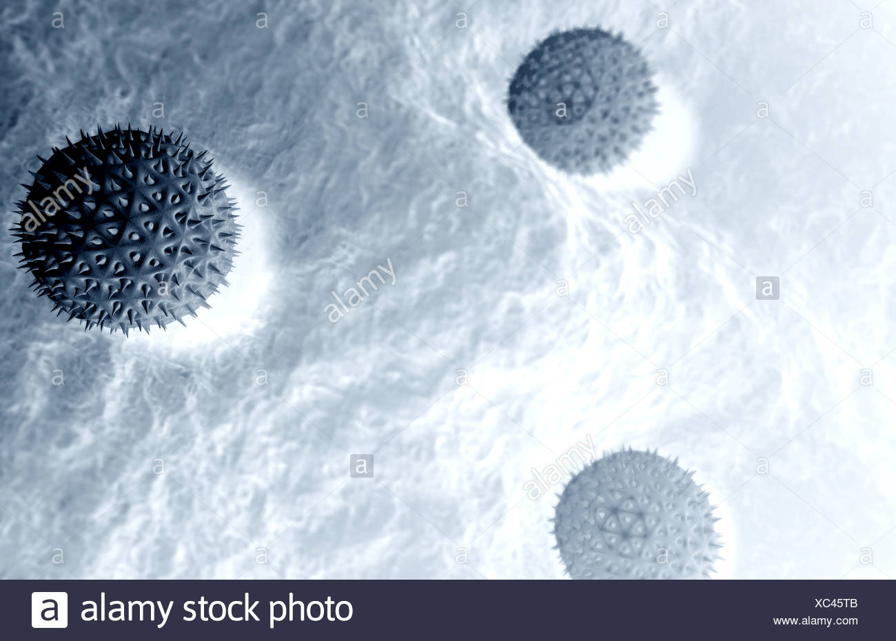 Pollen Stock Photo