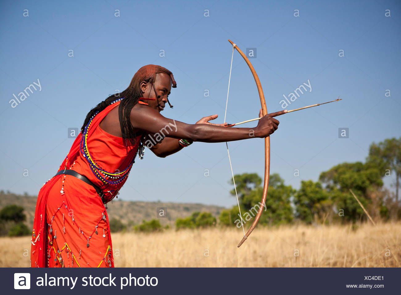 Masai Bow Arrow Kenya Masai Stock Photos & Masai Bow Arrow Kenya Masai