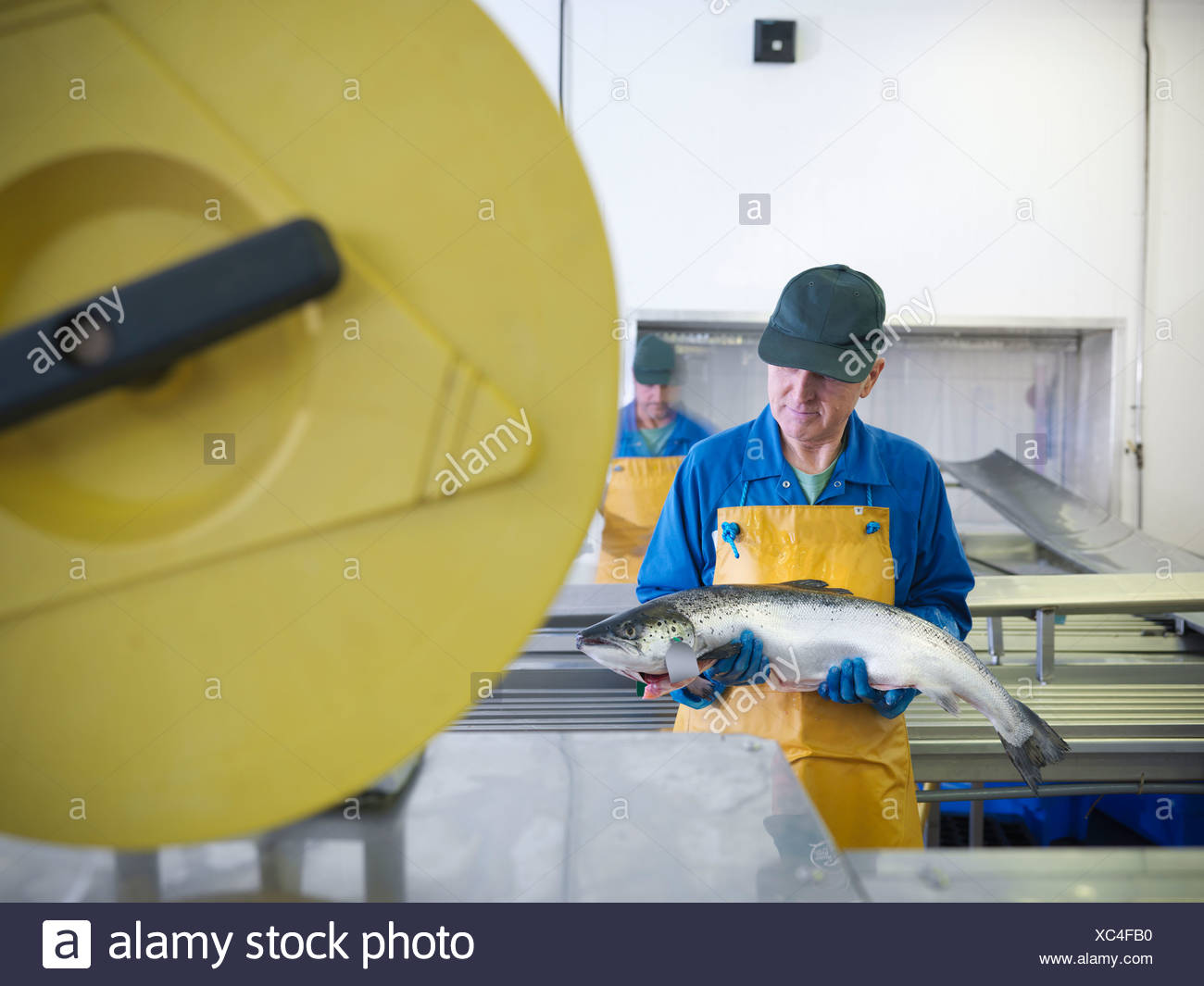 Seafood Processing Plant High Resolution Stock Photography and Images