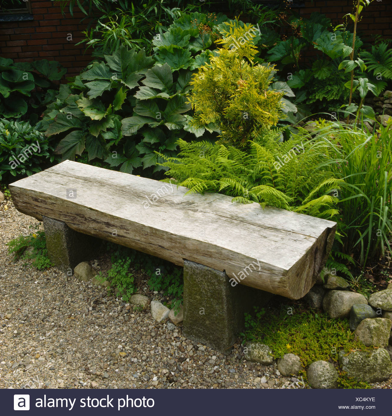 Recycled Wooden Garden Bench In Front Of Ferns And Gunnera Stock