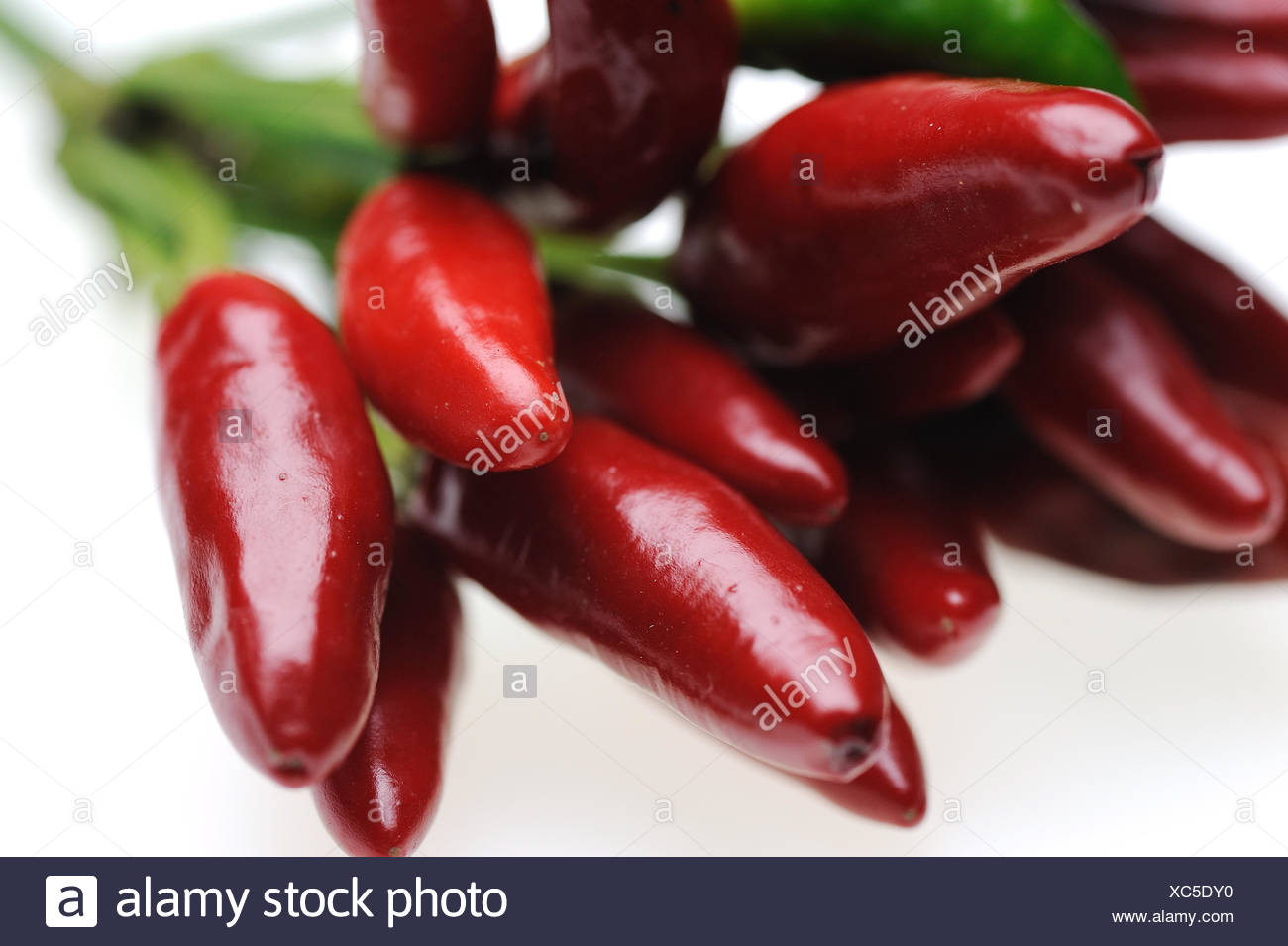 Farbfotografie High Resolution Stock Photography And Images Alamy