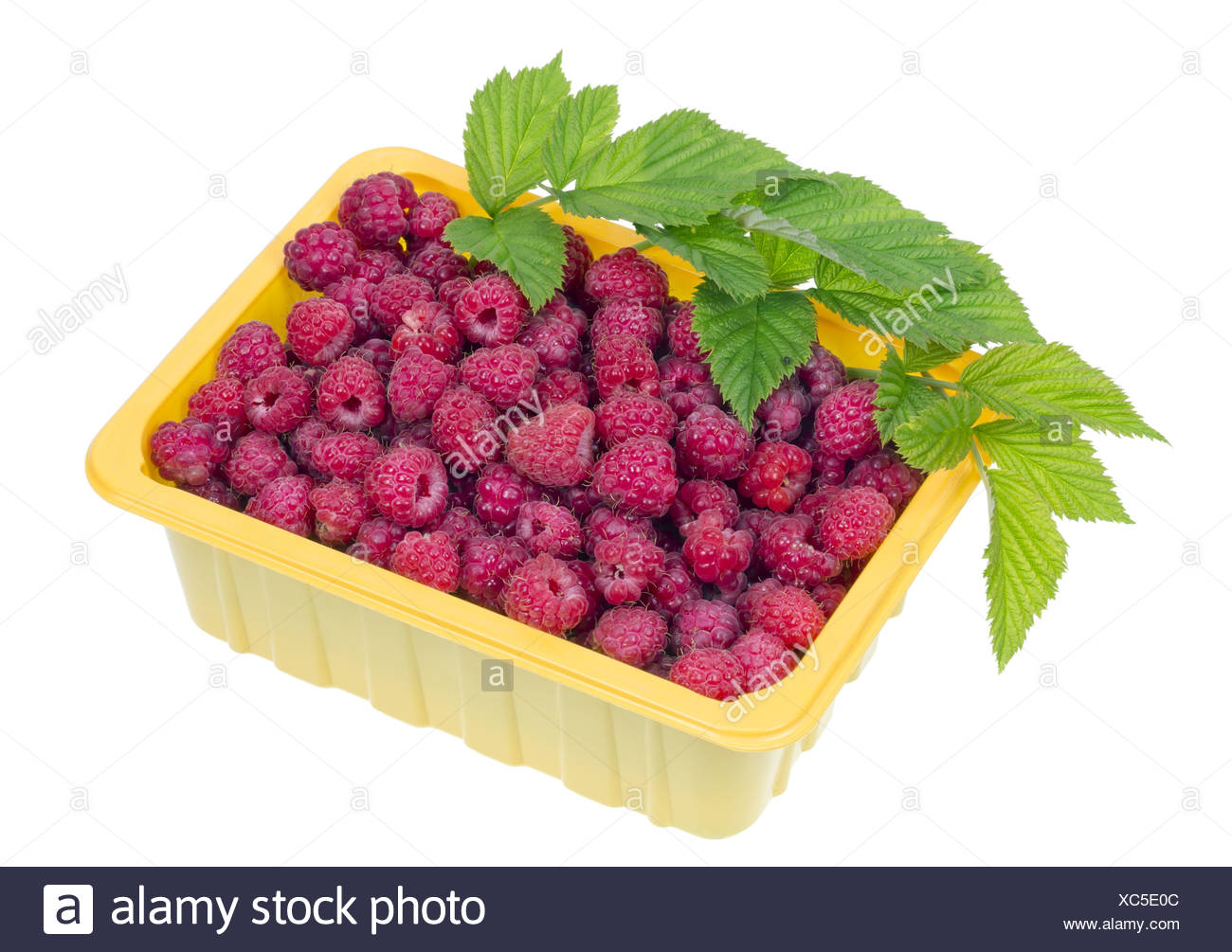 Download Raspberries In A Yellow Plastic Container Stock Photo 282862508 Alamy Yellowimages Mockups