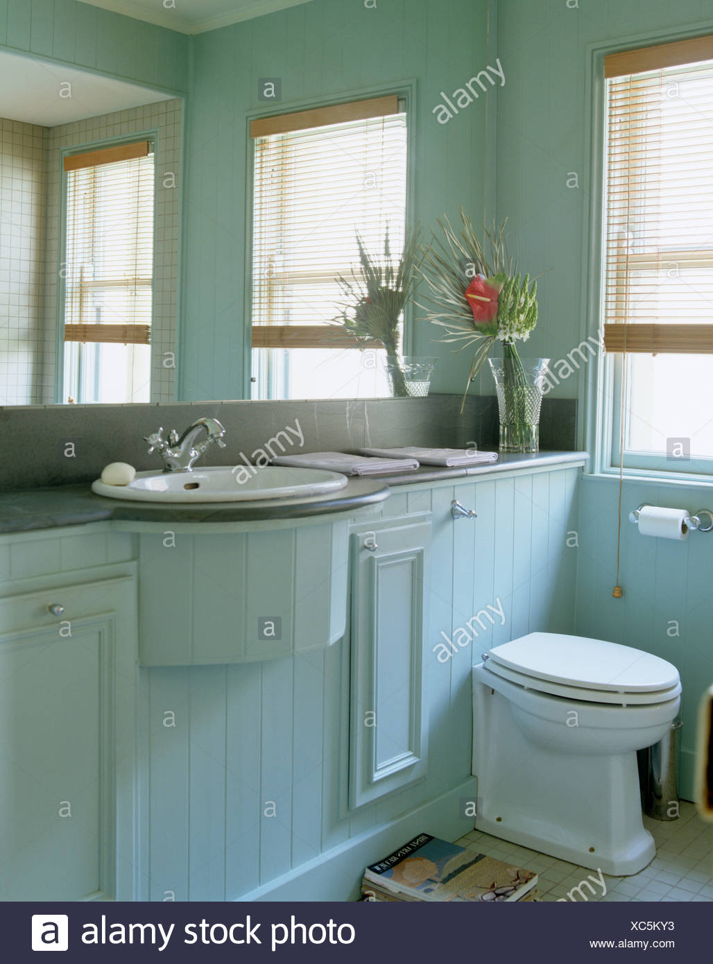 Mirrored Wall Above Basin And Toilet In Tongue Groove Paneled Vanity Unit In Pale Blue Country Bathroom Stock Photo Alamy