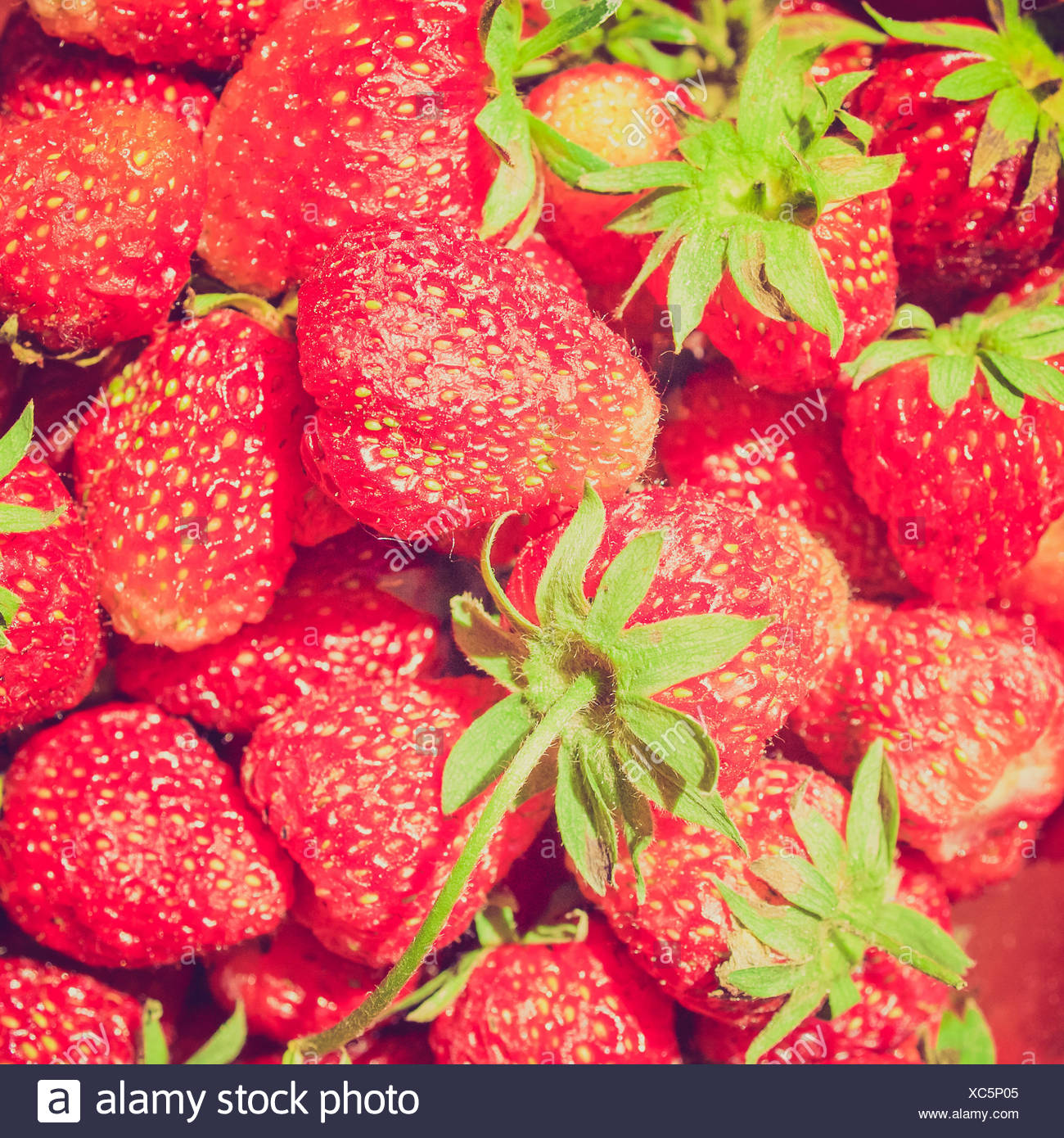 What is useful strawberries 25 What is useful strawberries 73