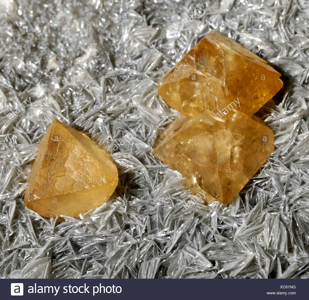 Tetragonal High Resolution Stock Photography and Images Alamy