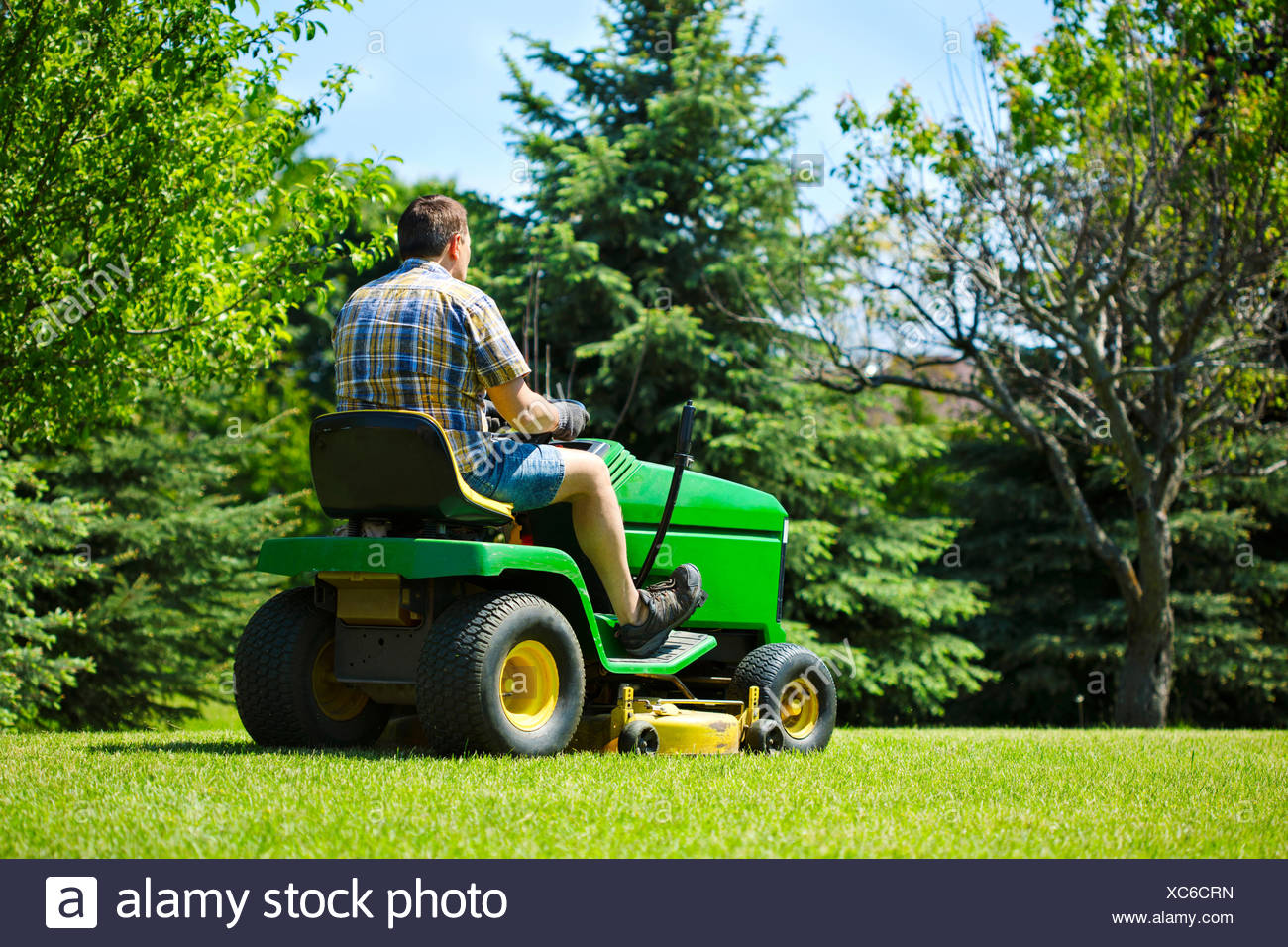 guilfoyle-pussy-lawn-mower-man-orgy-dvd