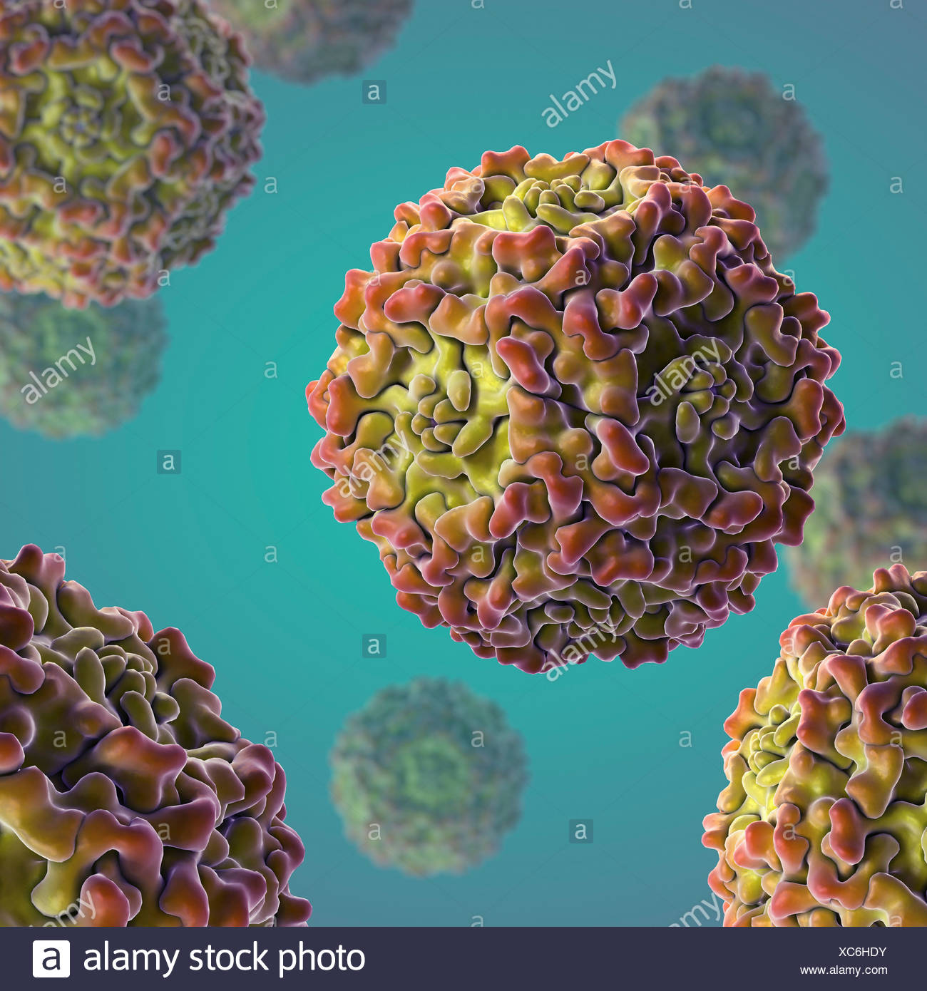 parvovirus-b19-virus-high-resolution-stock-photography-and-images-alamy