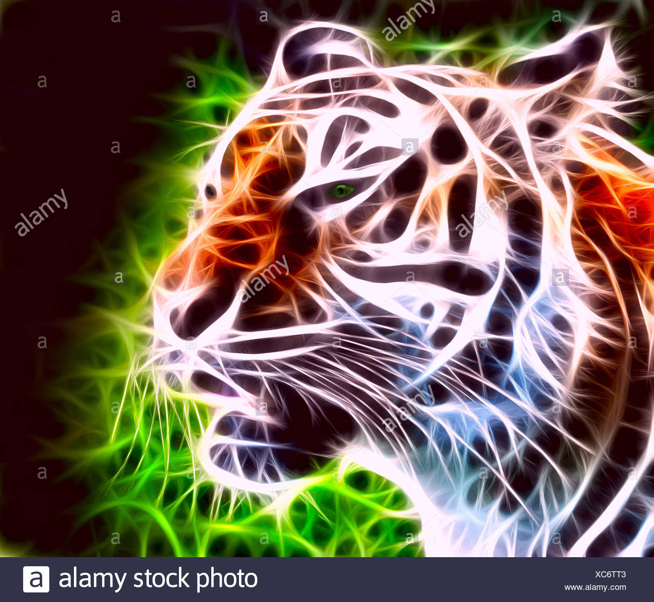Download Predator Mask High Resolution Stock Photography And Images Alamy PSD Mockup Templates