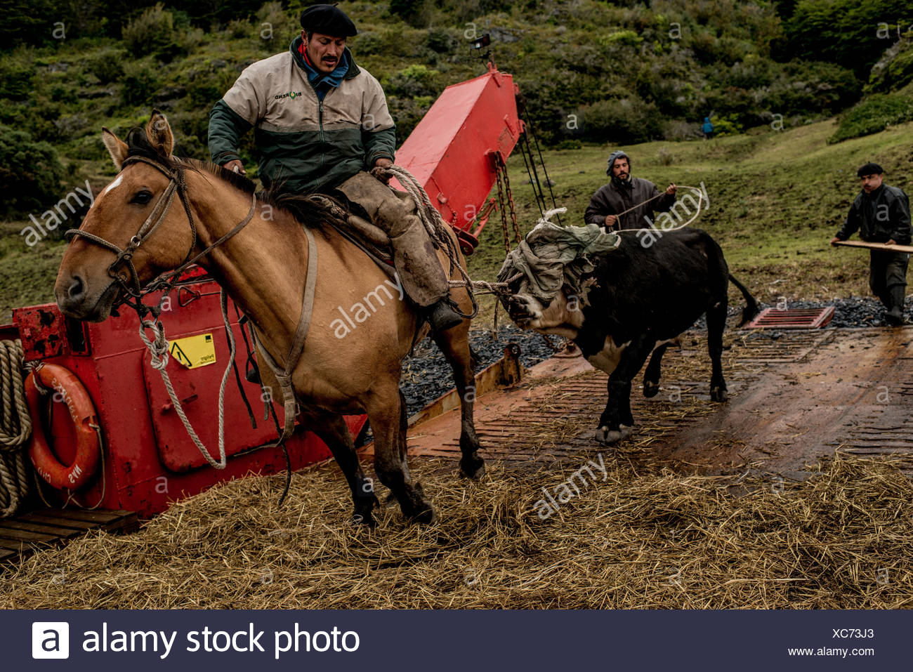 Two Cowboys Riding Horses Stock Photos & Two Cowboys Riding Horses ...