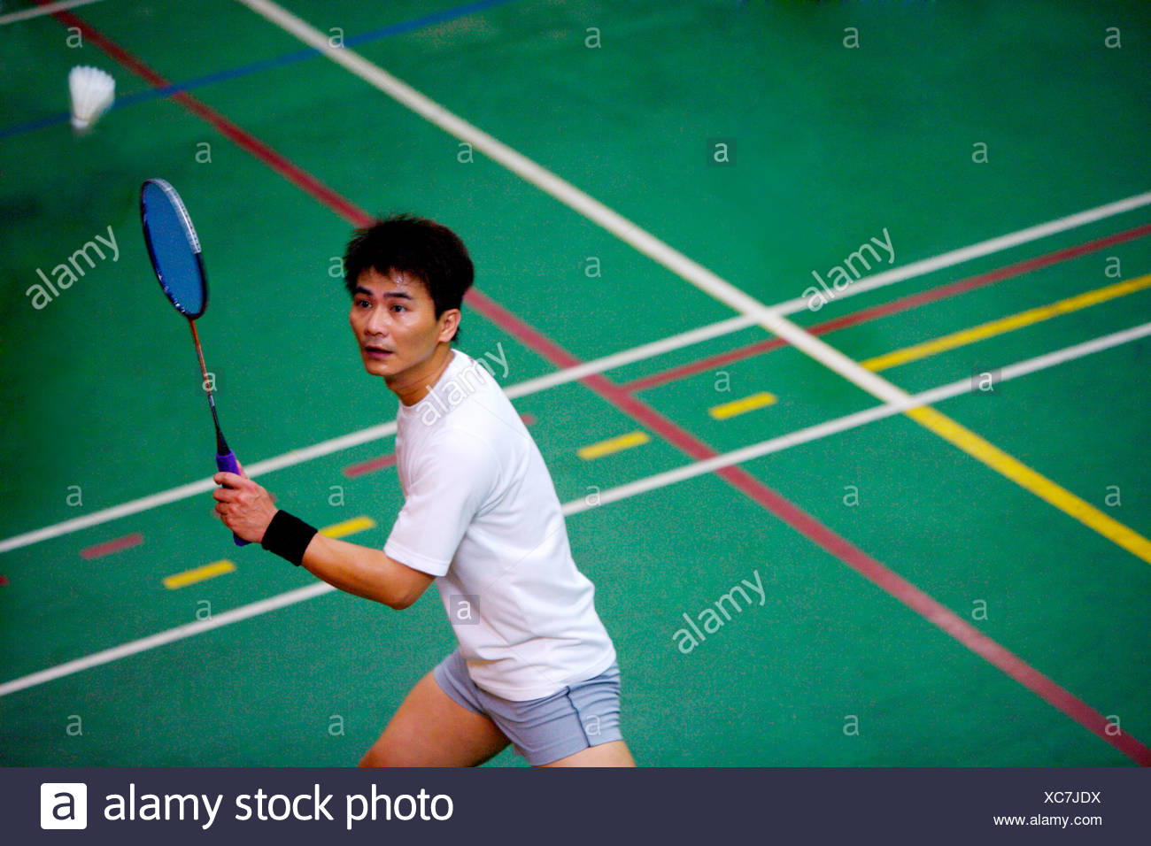 Badminton Racket Shuttlecock Hitting High Resolution Stock Photography