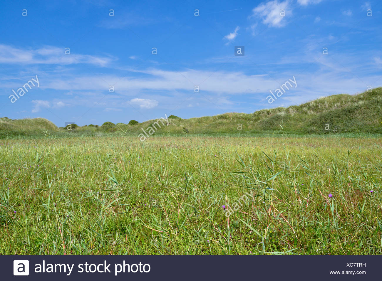 Kenfig National Nature Reserve High Resolution Stock Photography and ...