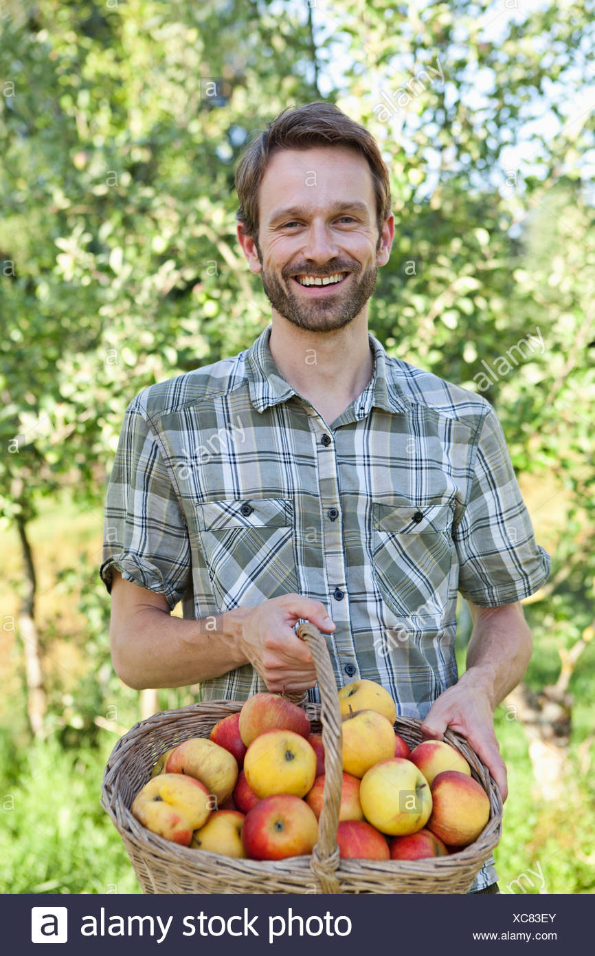 Man holding basket of apples Stock Photo - Alamy