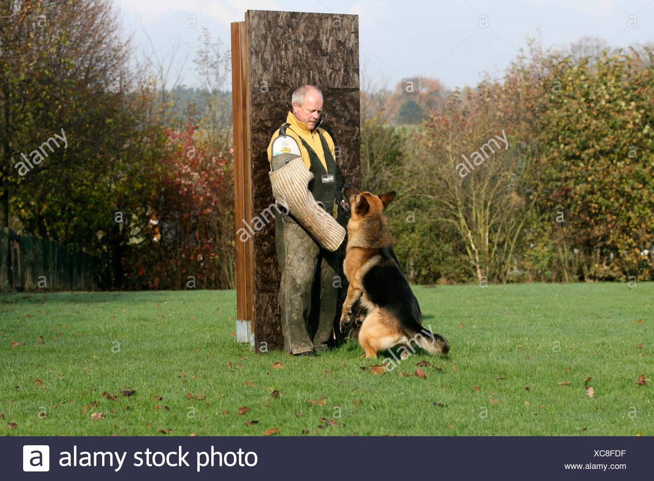 german shepherd protection training