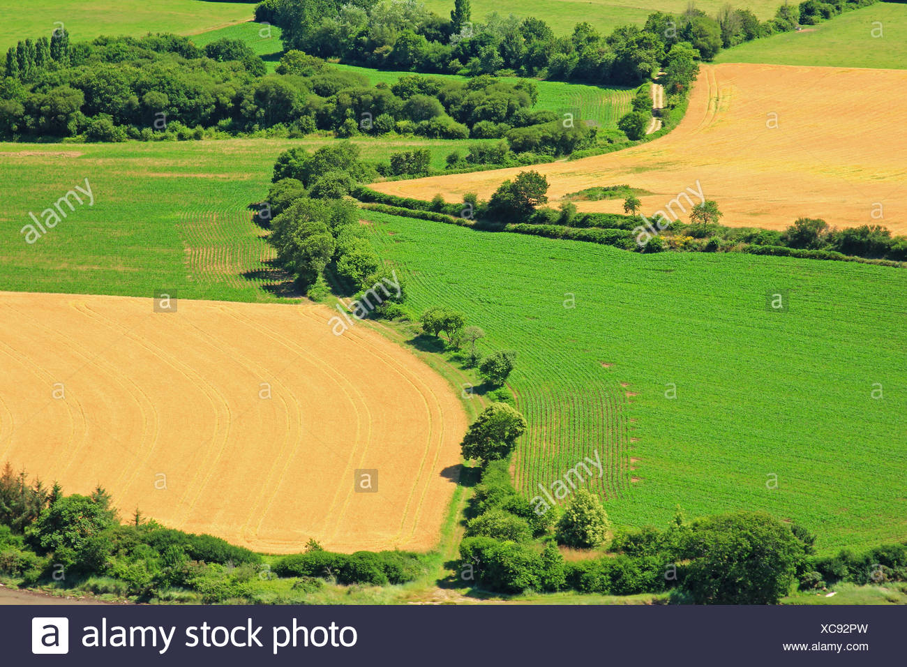 Agriculture In Finistere And Brittany High Resolution Stock Photography