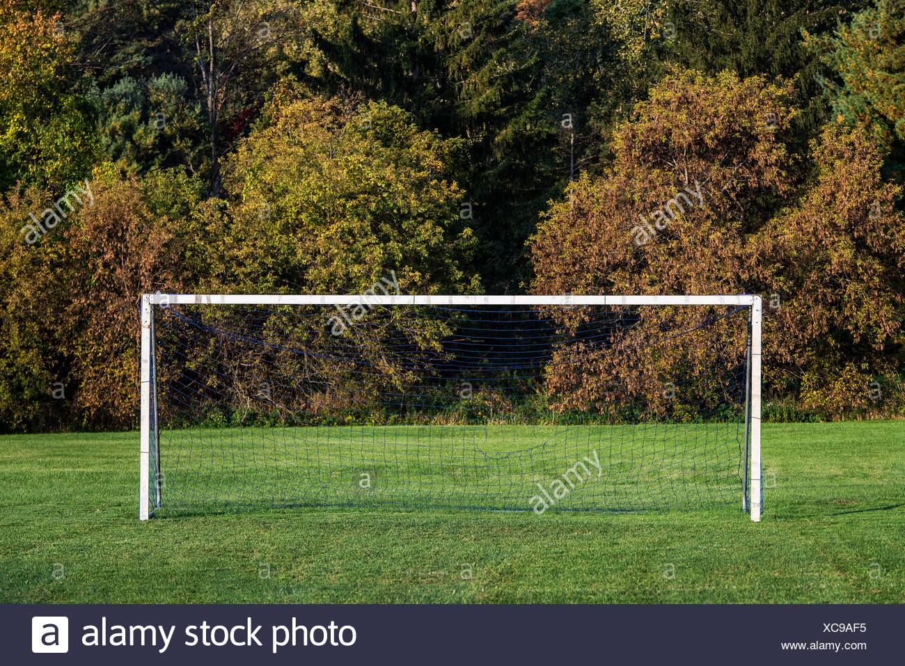 Soccer Fields High Resolution Stock Photography and Images Alamy