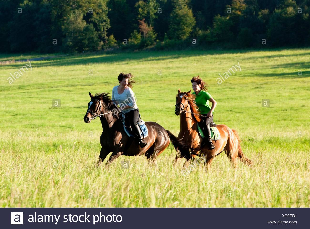 Women Riding Horseback Rider Stock Photos & Women Riding Horseback ...