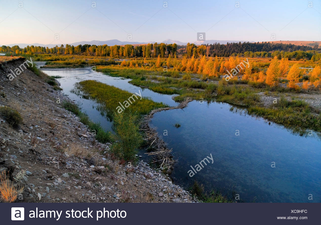 Skhodnya - a river in Russia (Moscow region). Description, features, photo Skhodnya - a river in Russia (Moscow region). Description, features, photo