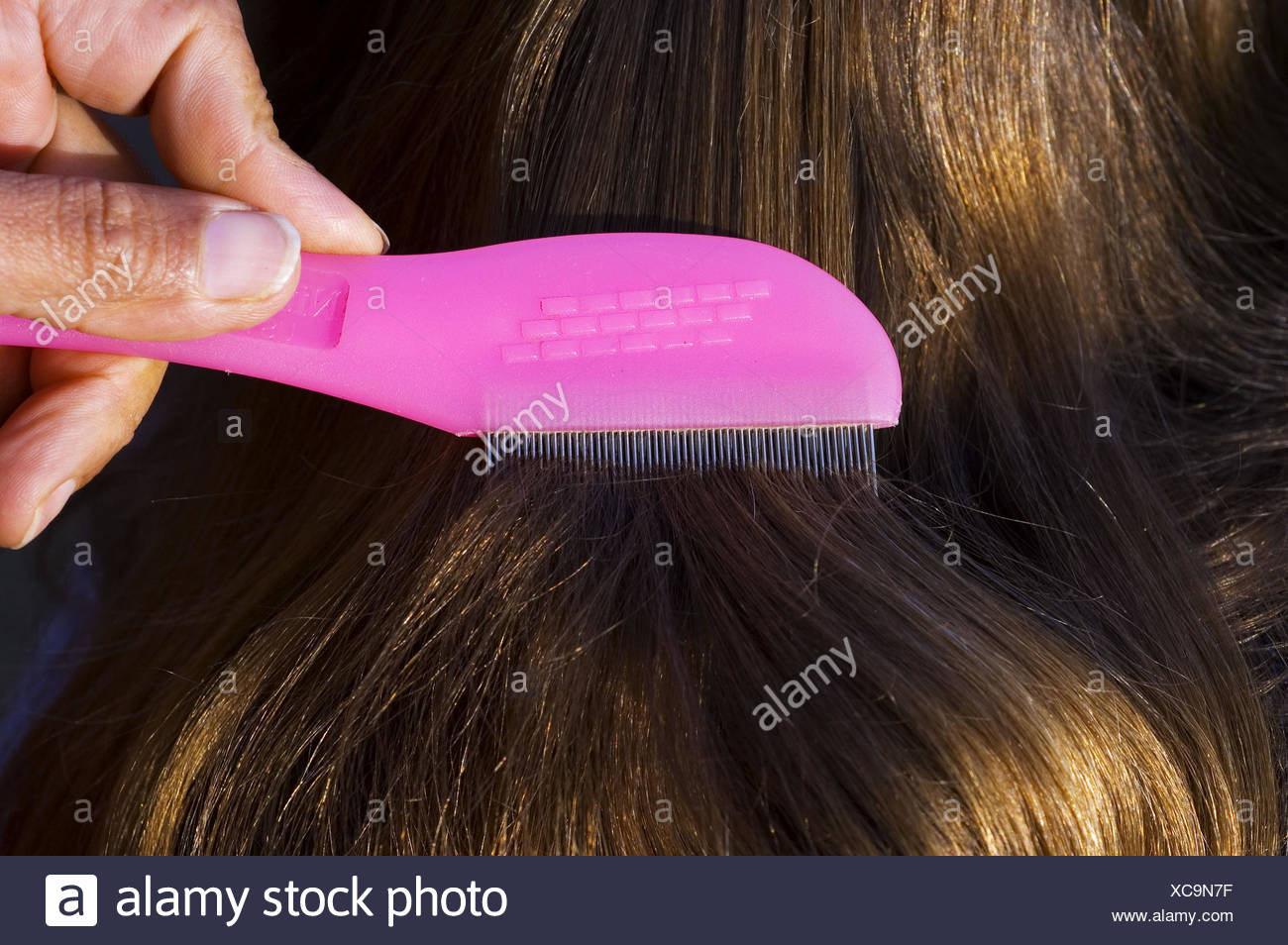 Nit Comb Stock Photos & Nit Comb Stock Images Alamy
