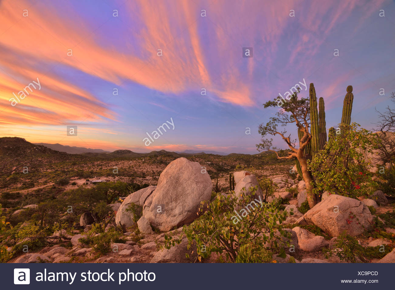 Mexico, North America, Baja, Baja California, La Ventana, desert, nature,  red sky, mountains, green, desert, rancho Stock Photo - Alamy