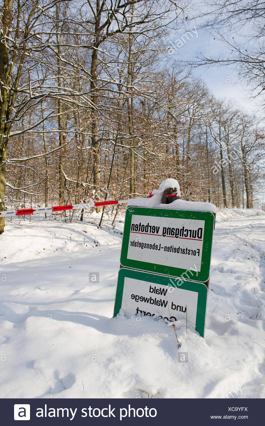 Gesperrter Weg Wegen Holzarbeiten Stock Photo 282960942 Alamy