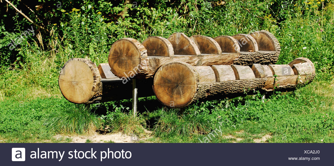 Tree Trees Trunk Seat Bench Table Wooden Bench Nature Tree Trees