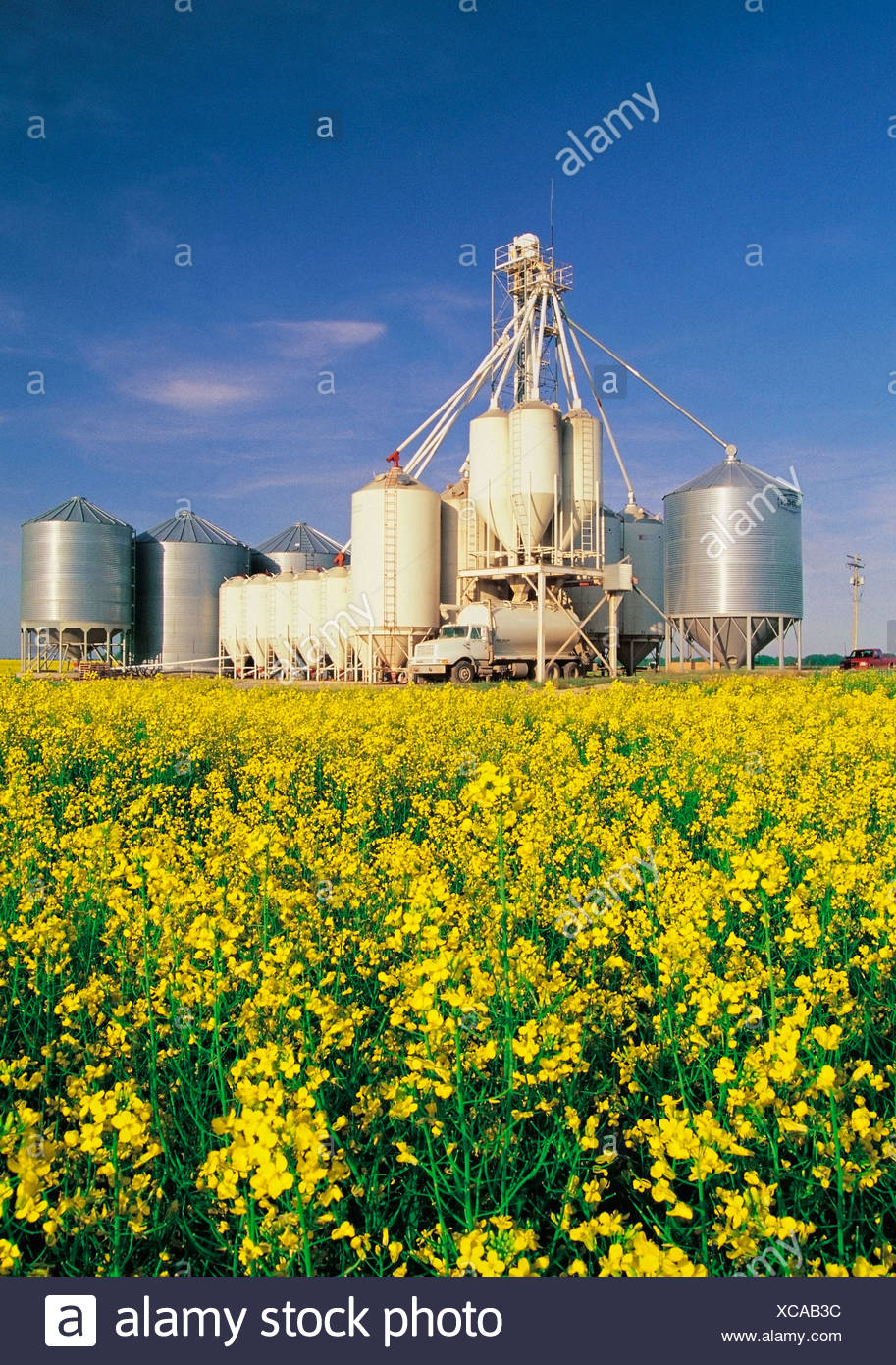 Feed Mill High Resolution Stock Photography and Images Alamy